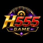 H555 Game