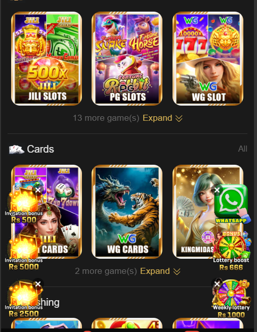 ER666 Game